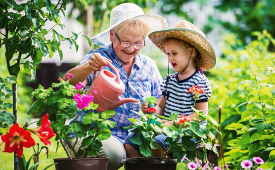 Aide-mémoire sur les bases du jardinage pour une famille aujourd'hui