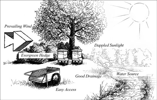 Où garder vos ruches en apiculture