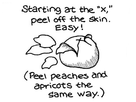 Éplucher, semer et hacher les tomates fraîches