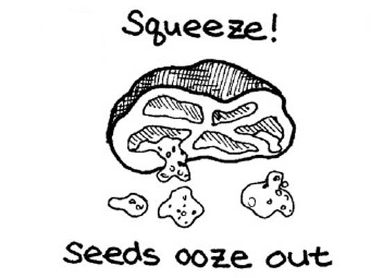 Éplucher, semer et hacher les tomates fraîches