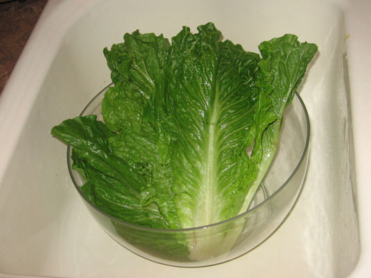Comment laver et conserver les légumes verts frais