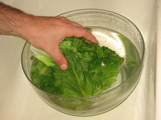 Comment laver et conserver les légumes verts frais