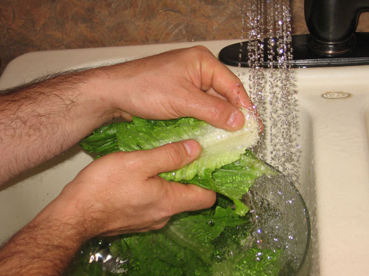 Comment laver et conserver les légumes verts frais