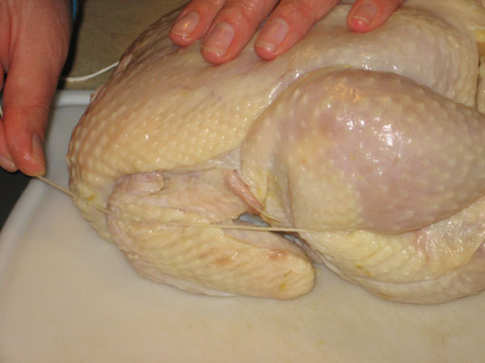Attacher un poulet