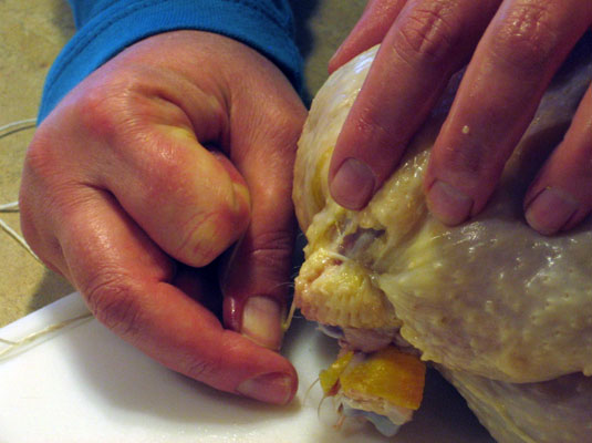 Attacher un poulet