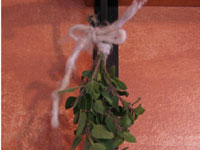 Séchage d'herbes fraîches