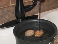 Cuisson des œufs durs