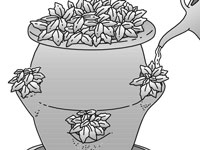 Comment planter un pot de fraises