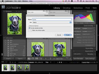 Comment configurer des collections de photos de votre chien dans Lightroom