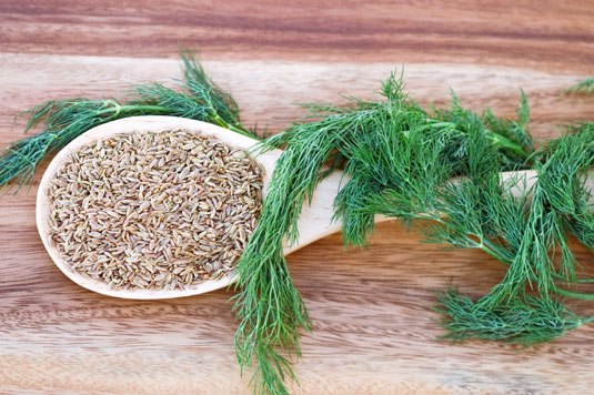 Un avant-goût de la Méditerranée : Top 10 des herbes et des épices