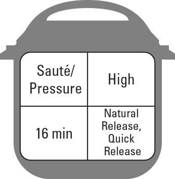Recettes classiques à un pot pour le pot instantané