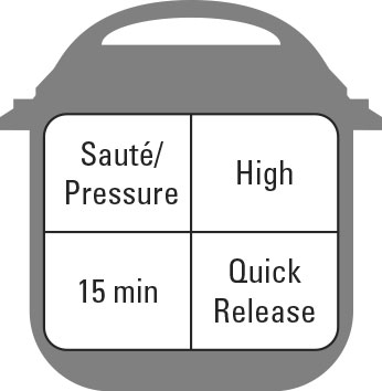 Recettes classiques à un pot pour le pot instantané