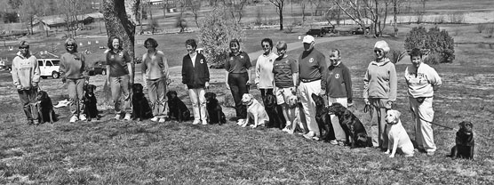 Cours de dressage d'obéissance canine