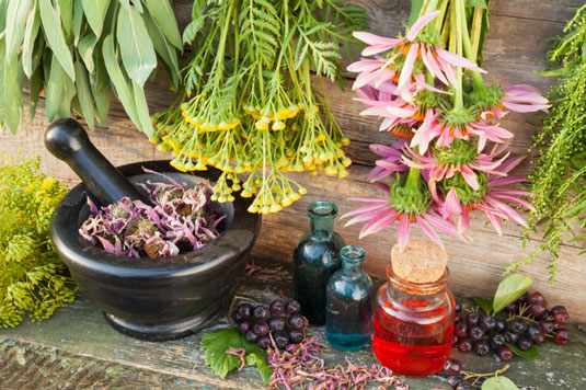 10 ingrédients qui renforcent le système immunitaire pour les jus et les smoothies