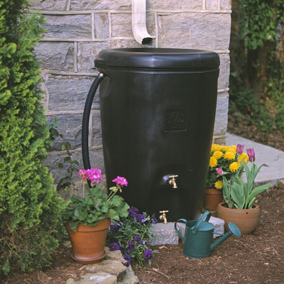 Conserver l'eau dans votre jardin