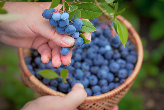 10 aliments anti-inflammatoires