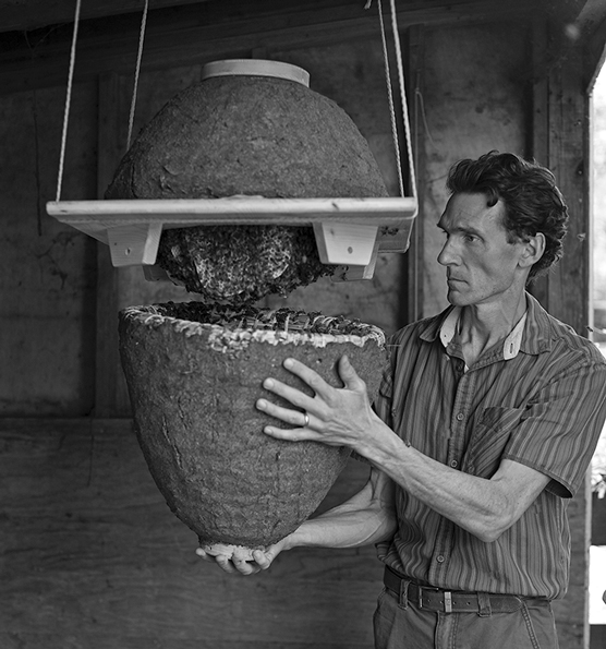 Quelle ruche répond à vos besoins ?