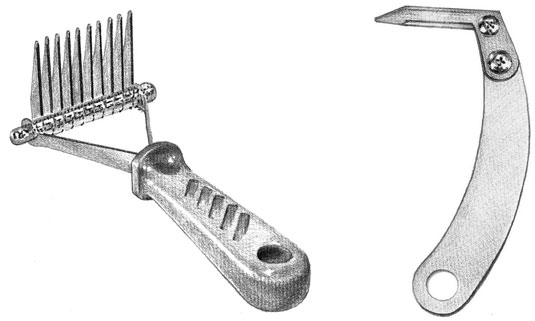 Rassembler des brosses et des peignes pour une séance de toilettage de chien