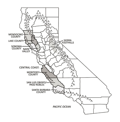 Regard sur les régions viticoles de Californie