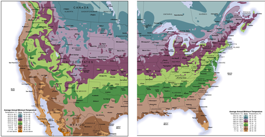 Comment trouver votre zone de rusticité avec des cartes