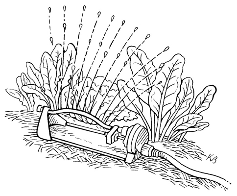 Systèmes d'arrosage pour votre potager