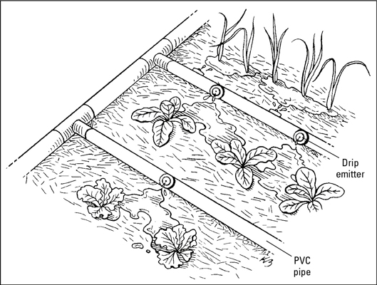 Systèmes d'arrosage pour votre potager