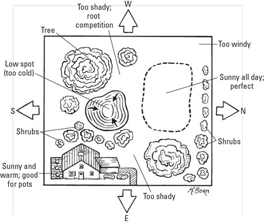 Comment déterminer l'emplacement et la taille de votre jardin Homestead