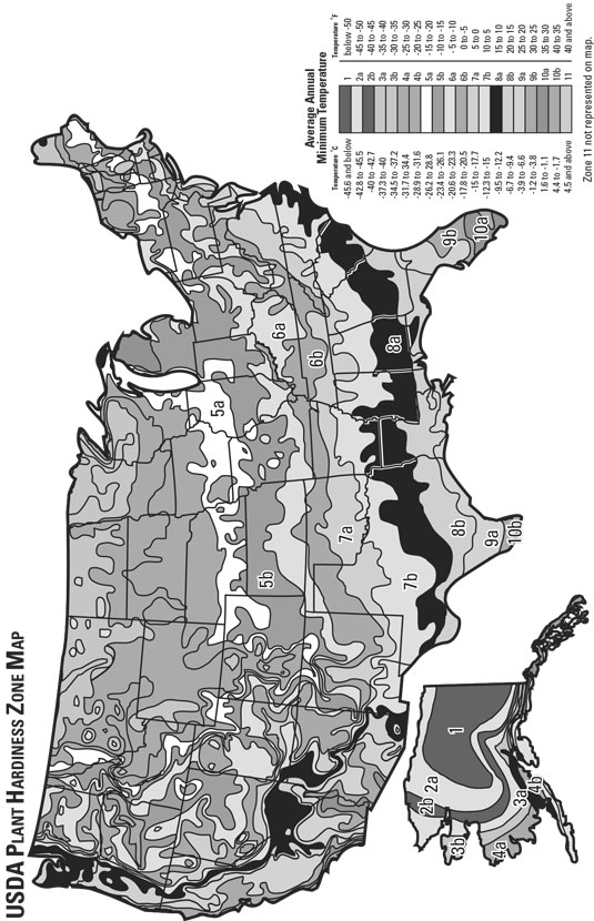 Comment déterminer l'emplacement et la taille de votre jardin Homestead