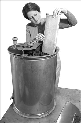 Comment extraire le miel de votre ruche