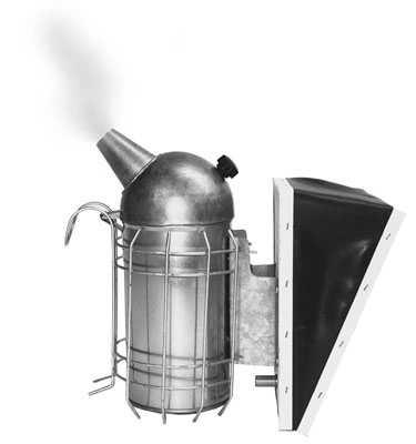 Comment planifier votre première inspection de ruche