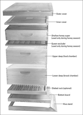 Comment identifier les pièces de base en bois d'une ruche