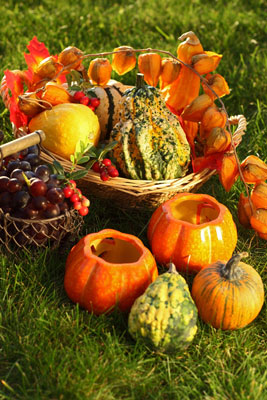 Idées de décoration de Thanksgiving de la nature