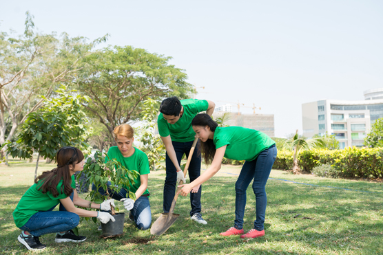 10 conseils pour gérer un jardin urbain durable