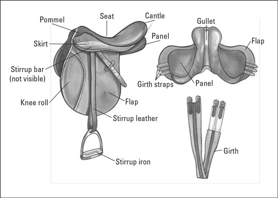 Tout ce que vous avez toujours voulu savoir sur les selles