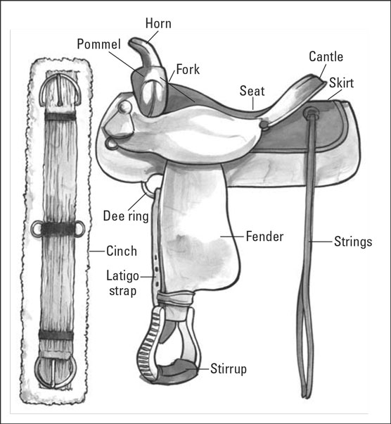 Tout ce que vous avez toujours voulu savoir sur les selles