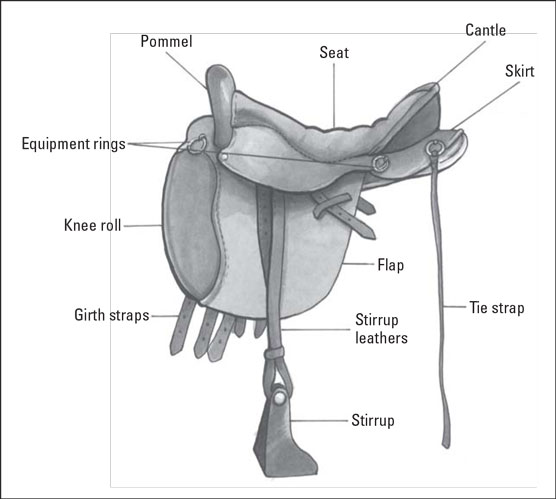 Tout ce que vous avez toujours voulu savoir sur les selles