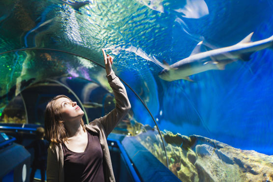 10 grands aquariums publics d'eau salée