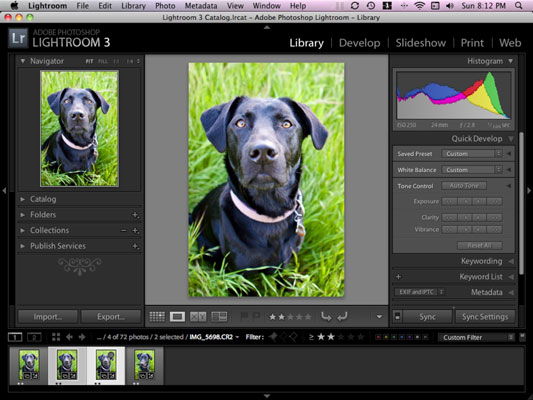 Comment exporter vos photos de chien depuis Lightroom