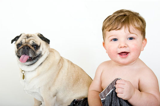 Comment prendre des photos avec des chiens et des bébés