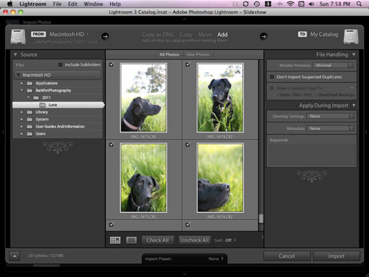 Comment importer les photos de votre chien dans Lightroom