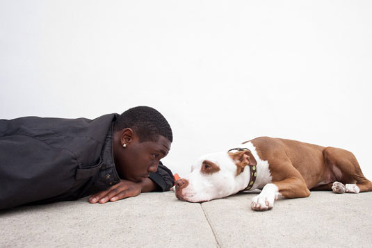 Prenez la photo d'humains et de chiens, face à face