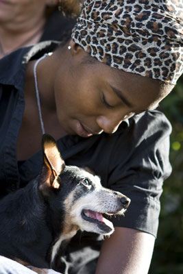 Prenez des photos de chiens sur les genoux de leurs humains