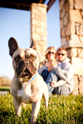 Prises de vue d'emplacement typiques pour la photographie de chien