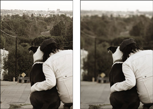 Profondeur de champ en mode priorité à l'ouverture pendant la photographie de chien