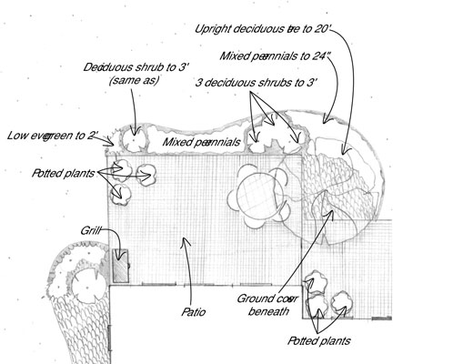 Comment paysager pour la confidentialité