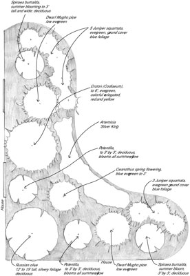 Aménagement paysager pour économiser l'eau