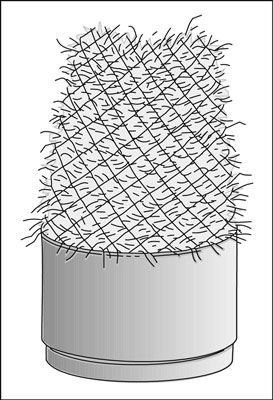 Comment hiverner les plantes vivaces en conteneur