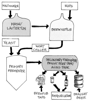 Ce que vous verrez dans une brasserie de bière