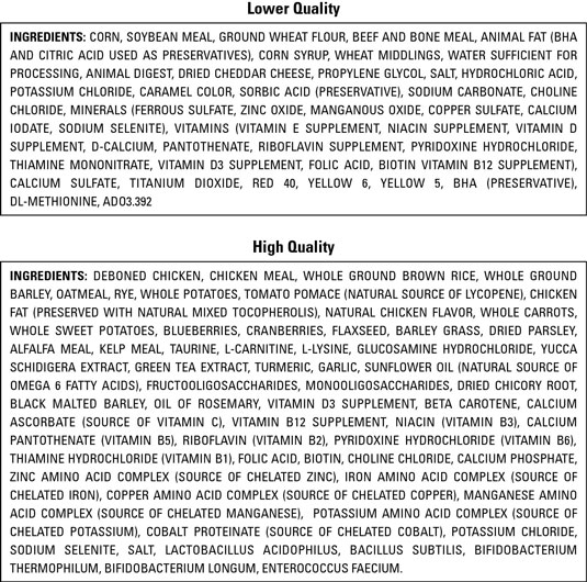 Regarder les étiquettes de nourriture pour chiots