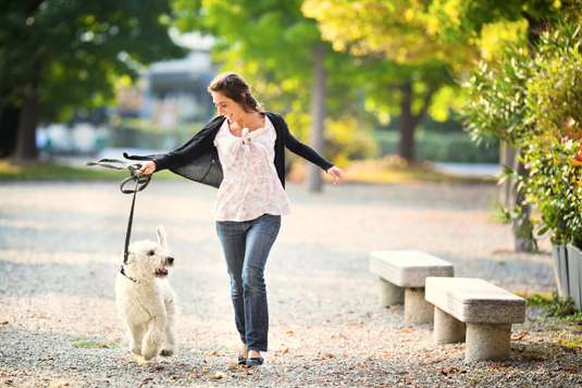 Comment trouver le temps de dresser votre chien